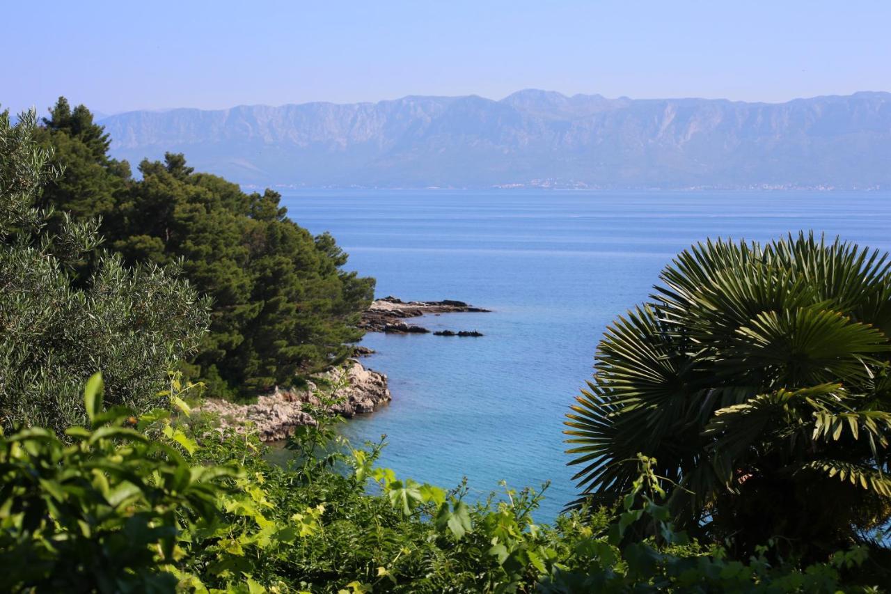 Apartments And Rooms By The Sea Trpanj, Peljesac - 258 Esterno foto