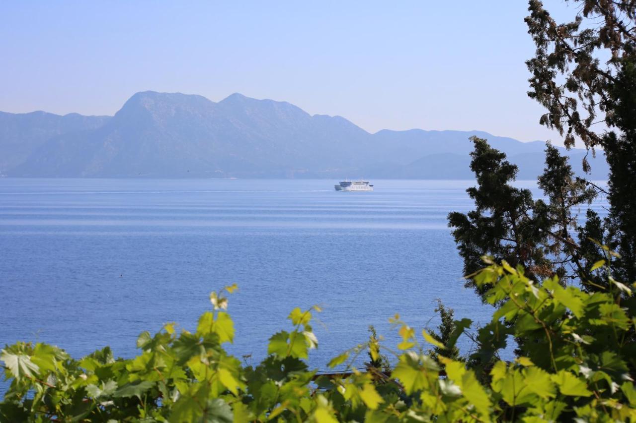 Apartments And Rooms By The Sea Trpanj, Peljesac - 258 Esterno foto
