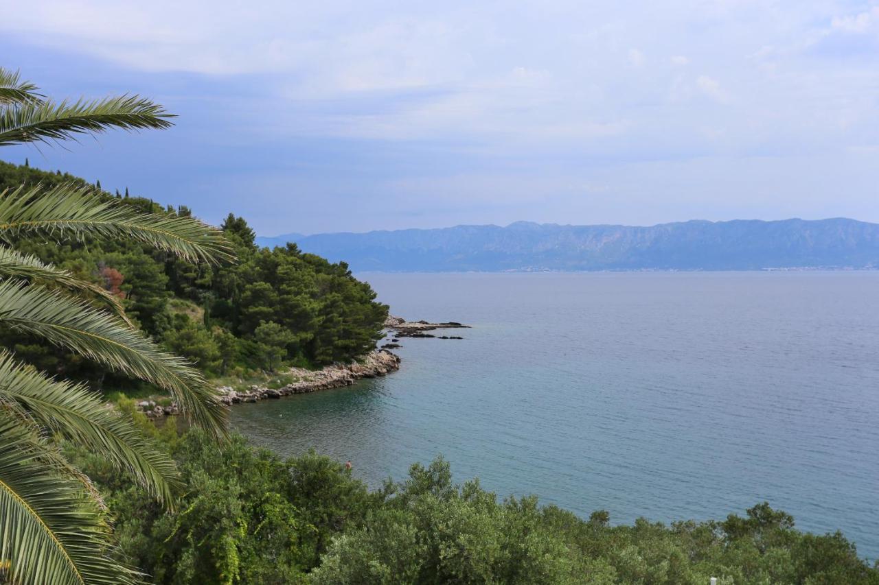 Apartments And Rooms By The Sea Trpanj, Peljesac - 258 Esterno foto